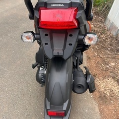 【動画あり】ズーマーX 走行距離400km 美車　タイ仕様 HONDA JF62の画像