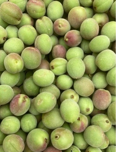 甲州小梅　15キロ