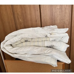 ご商談中 🉐【シングル🍀ポリエステル掛け布団】  ¥2180のシンプルホワイトカバー付き寝具  の画像