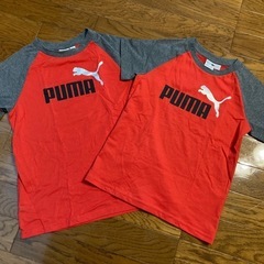 【値段交渉歓迎】美品　PUMA Tシャツ　まとめて