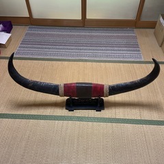値下げしました。牛の角　置物の画像