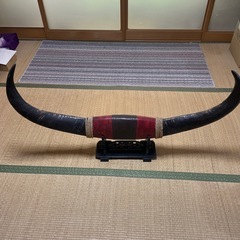 牛の角　置物