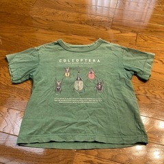 【値段交渉歓迎】110　UT カブトムシ Tシャツ