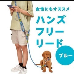 ハンズフリーリード