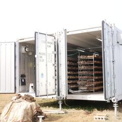 農業/林業/漁業 フリーター歓迎！！ しいたけの菌床栽培の画像