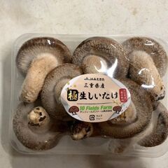 農業/林業/漁業 フリーター歓迎！！ しいたけの菌床栽培の画像