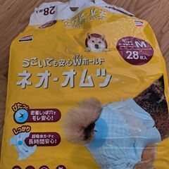 犬用おむつ　開封済み　19枚