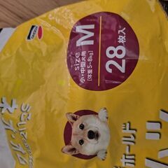 犬用おむつ　開封済み　19枚の画像