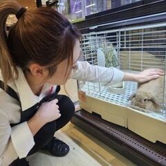 「ペットショップワンラブ」アリオ川口店  小動物アクアスタ…