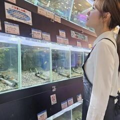 「ペットショップワンラブ」アリオ川口店  小動物アクアスタッフ募集中の画像