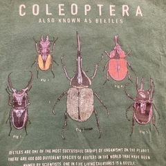 【値下げ中】110　UT カブトムシ Tシャツの画像