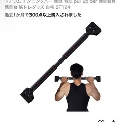 STEADY 懸垂バー