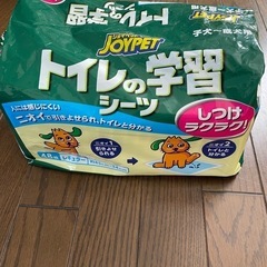 犬用　トイレ学習シート　レギュラーサイズ20枚 