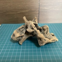 マングローブ系硬質流木3本セット メダカ 爬虫類 着生 テラリウム レイアウトの画像
