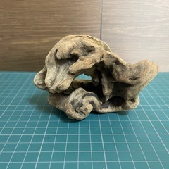 マングローブ系硬質流木3本セット メダカ 爬虫類 着生 テラリウム レイアウトの画像