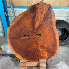 杉　衝立　切株