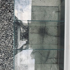 爬虫類ゲージの画像