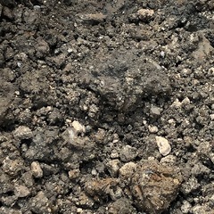 庭土　粘土　土　家庭菜園　畑