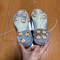 ゴルフシューズの画像