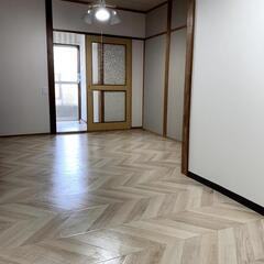 🉐敷礼無料！陽当たり良好！床面積50㎡超の広々2LDK
