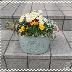 寄せ植え