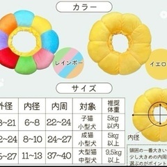 術後ケアセット (イエロー S)の画像