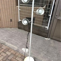 ライト
