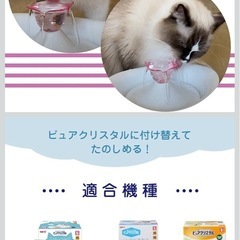 猫の水につけるやつ