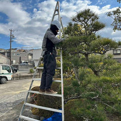 植木剪定　草刈り等の補助作業