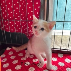 君たち可愛すぎやろ