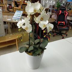 【ジモティー割引で最大15％OFF⭐️】　観葉植物　造花