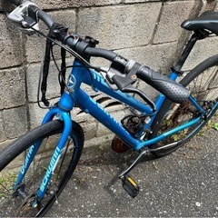 『日本未発売』シュイン『値引き交渉可』