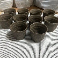 コップ10点セットの画像