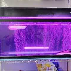 至急コトブキ90センチ水槽