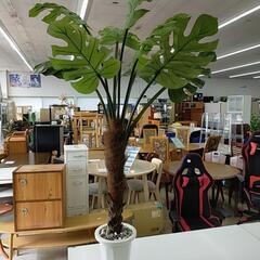 　【ジモティー割引で最大15％OFF⭐️】観葉植物　造花