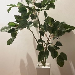 観葉植物　フェイクグリーン