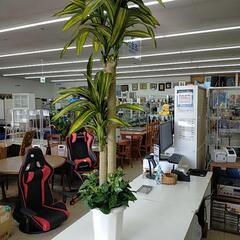 【ジモティー割引で最大15％OFF⭐️】 観葉植物　造花