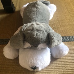 シュナとボブねそべりJBの画像