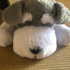 シュナとボブねそべりJB