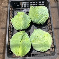 新鮮野菜に興味ある方