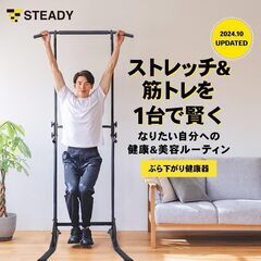 STEADY 懸垂マシン の画像