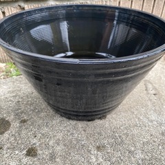 メダカ鉢