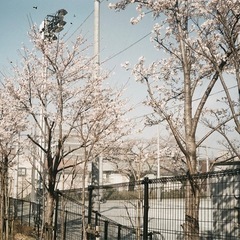 フィルムカメラ　ジャーニーコニカの画像