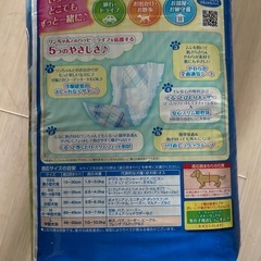 犬用マナーベルト、Lサイズ40枚、新品未使用。の画像
