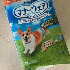 犬用マナーベルト、Lサイズ40枚、新品未使用。の画像