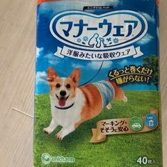 犬用マナーベルト、Lサイズ40枚、新品未使用。