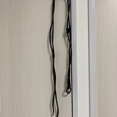 決まりました！ベルト