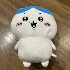 大きなハチワレ