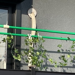 明日！伸縮のぼりの棒