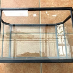 [済]プラスチック水槽(約40cm)の画像